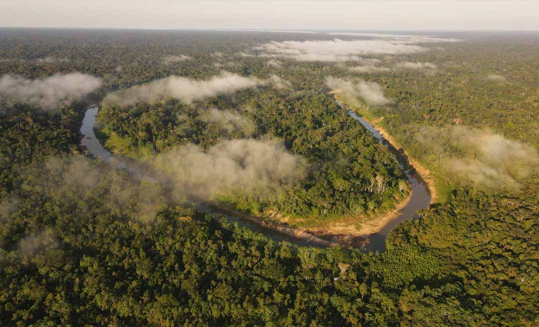 Celebração aos 20 anos do Parque Estadual Chandless contará com seminário especial