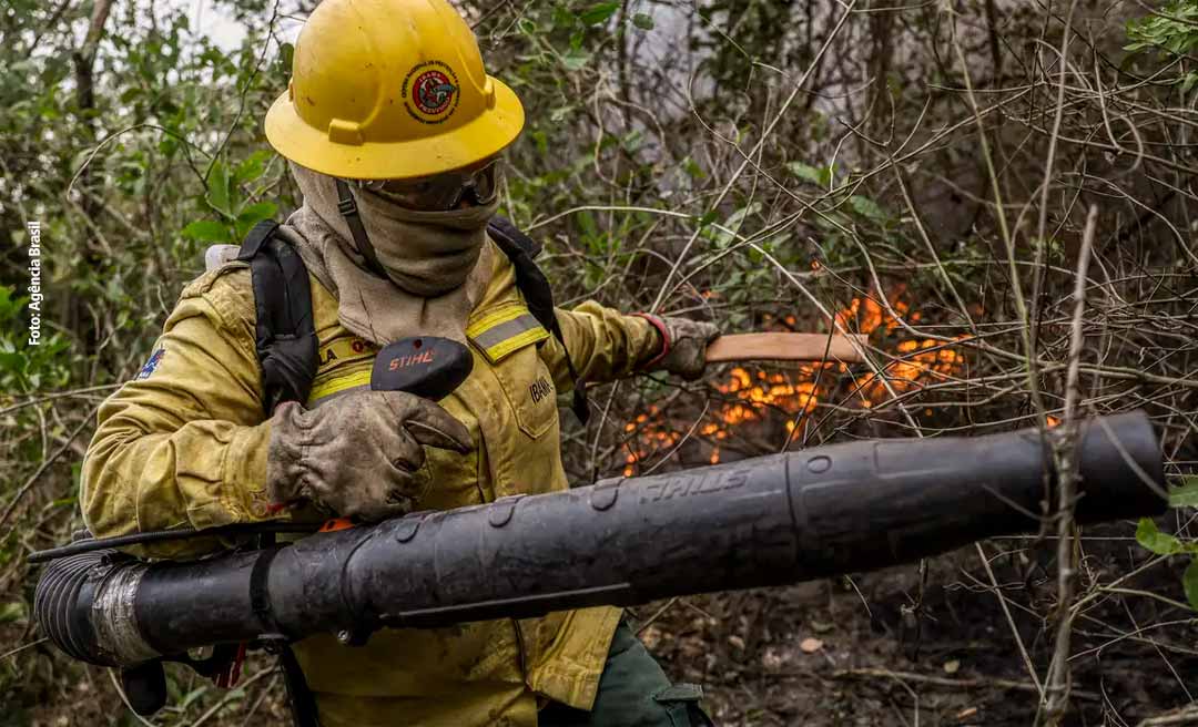 Governo Federal autoriza contratação de brigadistas para combate as queimadas ilegais no Acre