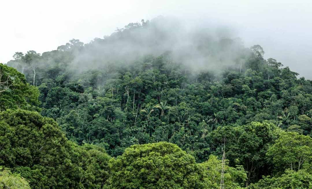 Após solicitação do ICMBio, governo do Acre envia bombeiros para apagar incêndio na Serra do Divisor