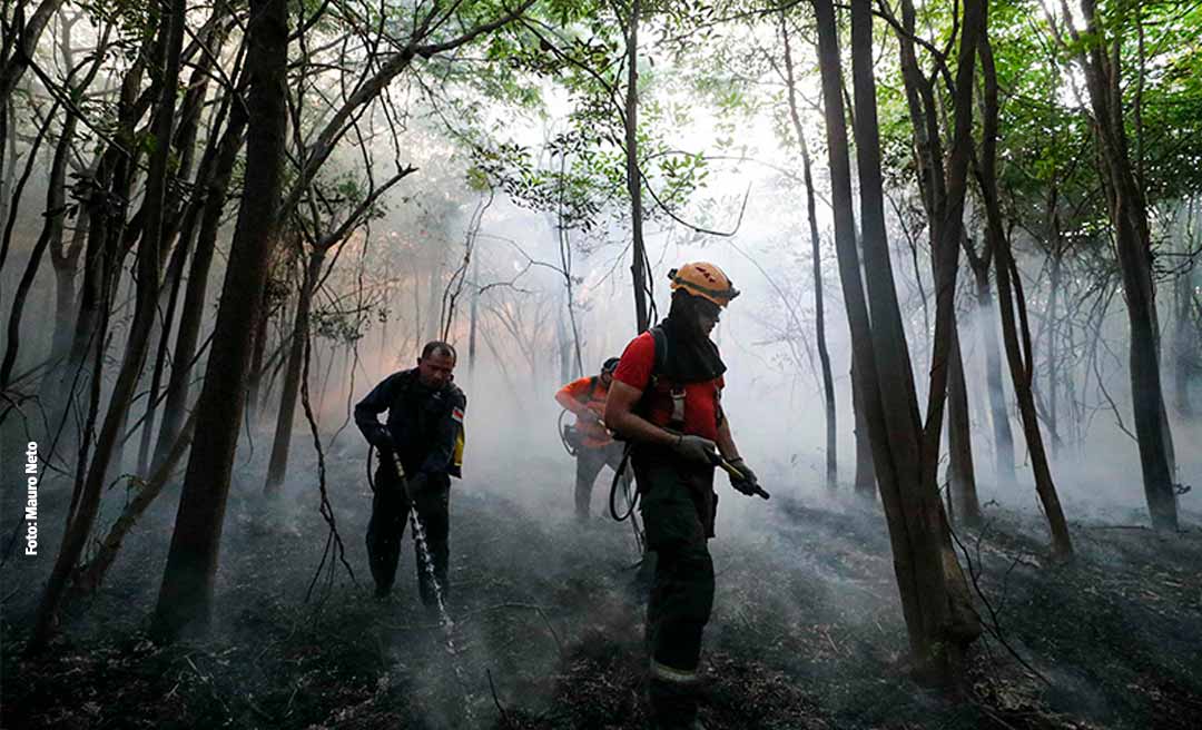 MPF ingressa com ação para que União garanta a segurança de brigadistas e fiscais do Ibama no Acre