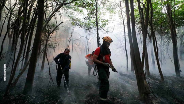 MPF ingressa com ação para que União garanta a segurança de brigadistas e fiscais do Ibama no Acre