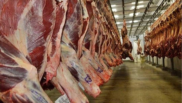 Livre da aftosa sem vacinação, Acre pode exportar carne bovina para o Canadá