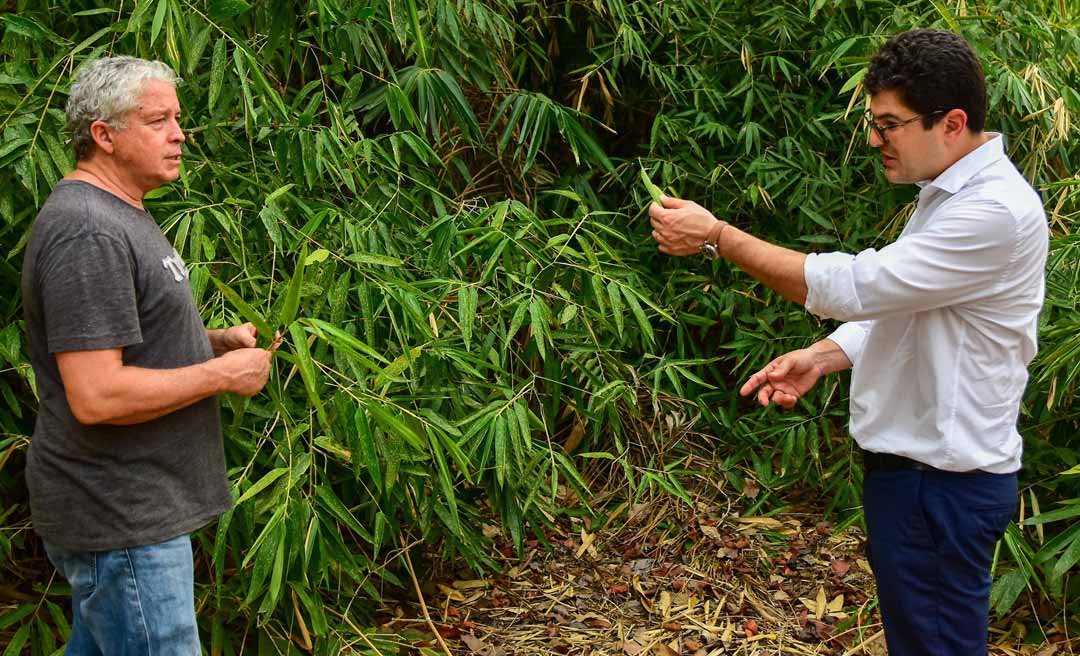 Eduardo Ribeiro se junta aos esforços para viabilizar economicamente 4,5 milhões de hectares de bambu no Acre