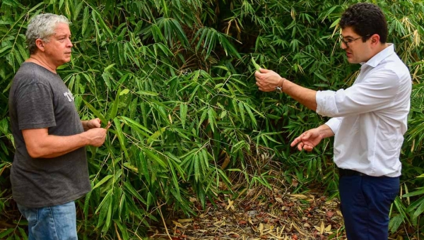 Eduardo Ribeiro se junta aos esforços para viabilizar economicamente 4,5 milhões de hectares de bambu no Acre