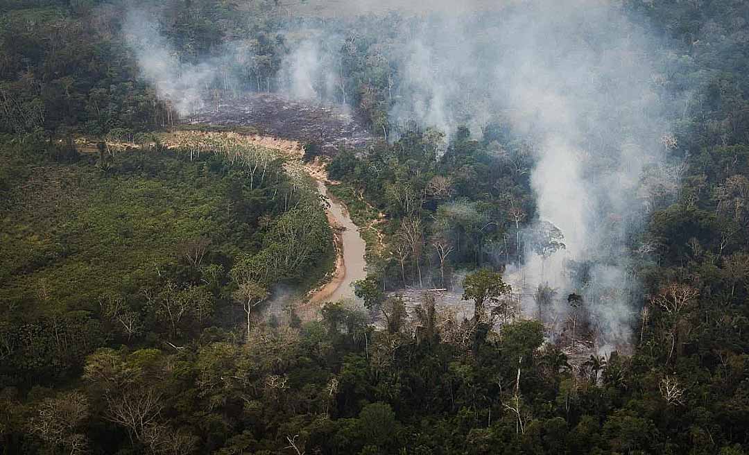 Incêndio em terra indígena no Acre já queimou mais de 1 milhão de metros quadrados