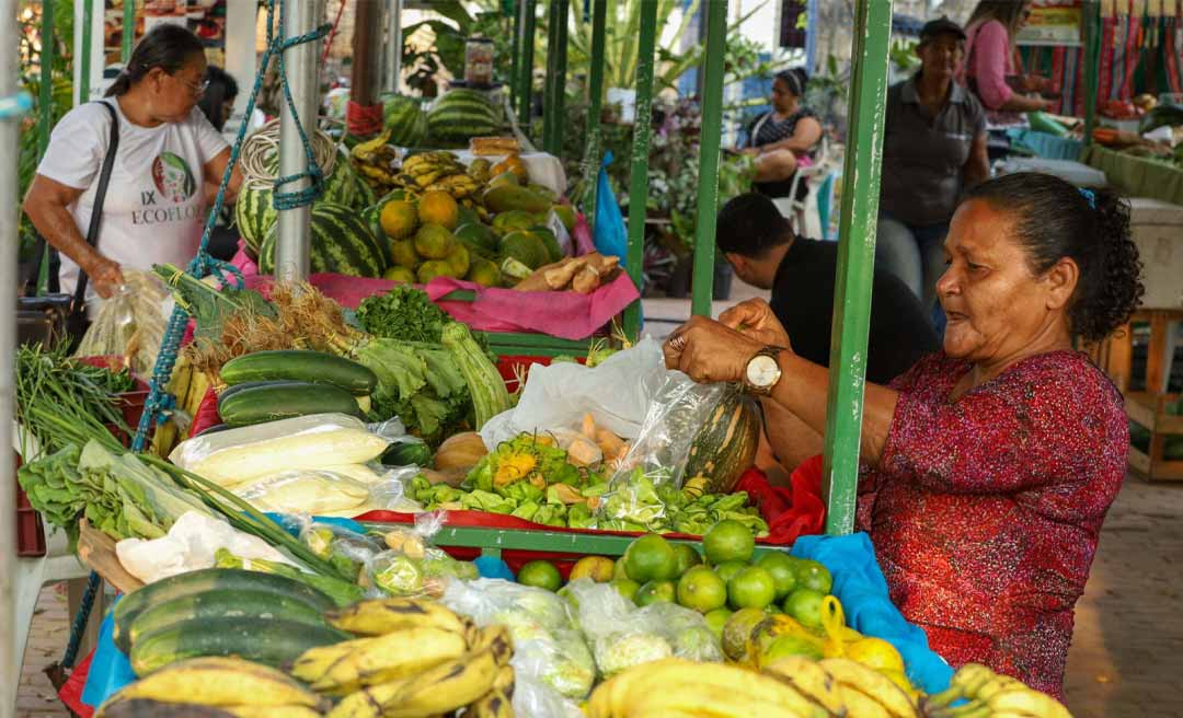 Por conta da seca extrema, governo federal flexibiliza regras para aquisição de alimentos da Agricultura Familiar