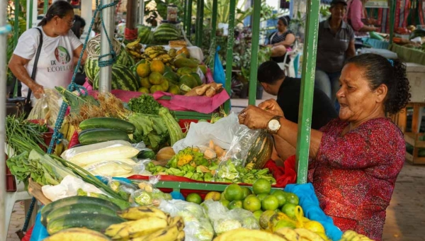 Por conta da seca extrema, governo federal flexibiliza regras para aquisição de alimentos da Agricultura Familiar