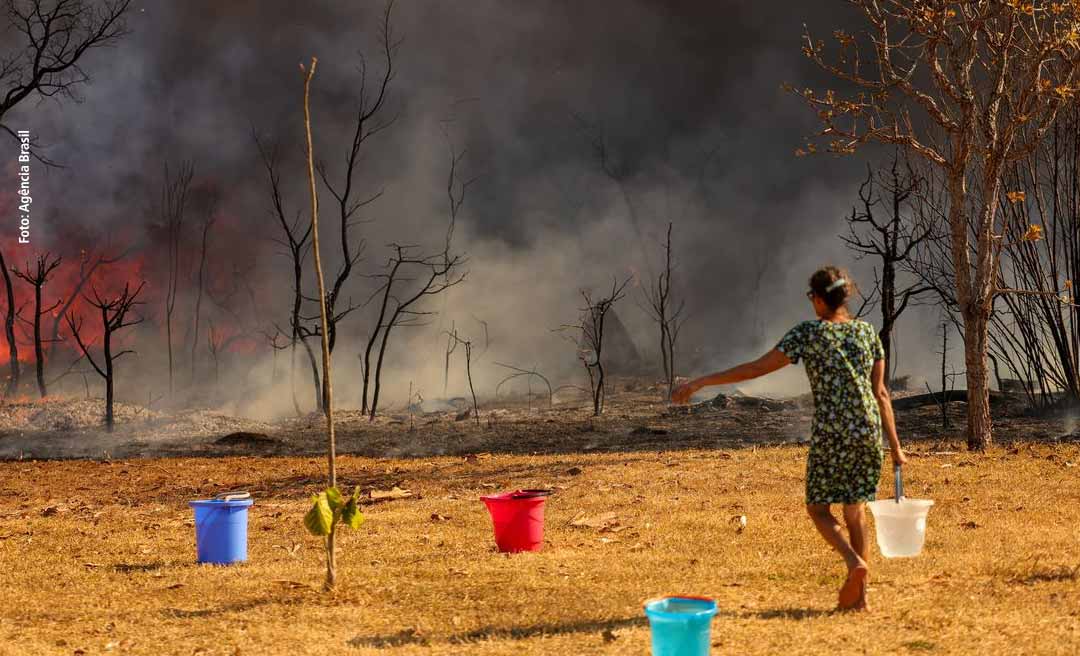 Ministra do Meio Ambiente defende endurecimento da pena por fogo intencional