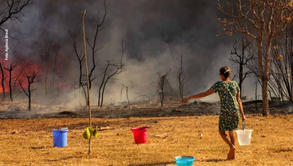 Ministra do Meio Ambiente defende endurecimento da pena por fogo intencional