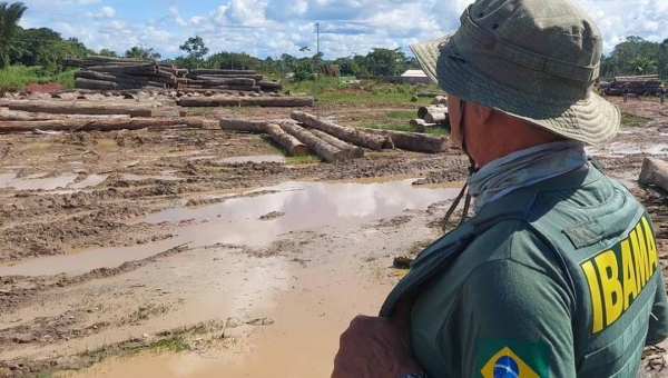 Acre teve quase 70 mil hectares de áreas embargadas em 2023, pelo Ibama