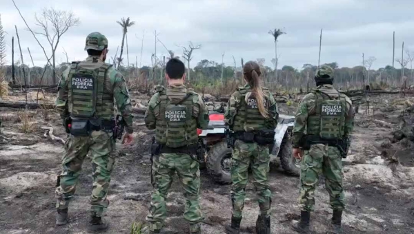 PF cumpre seis mandados e prende responsável por desmatar e incendiar 953 hectares em gleba pública da União em Boca do Acre