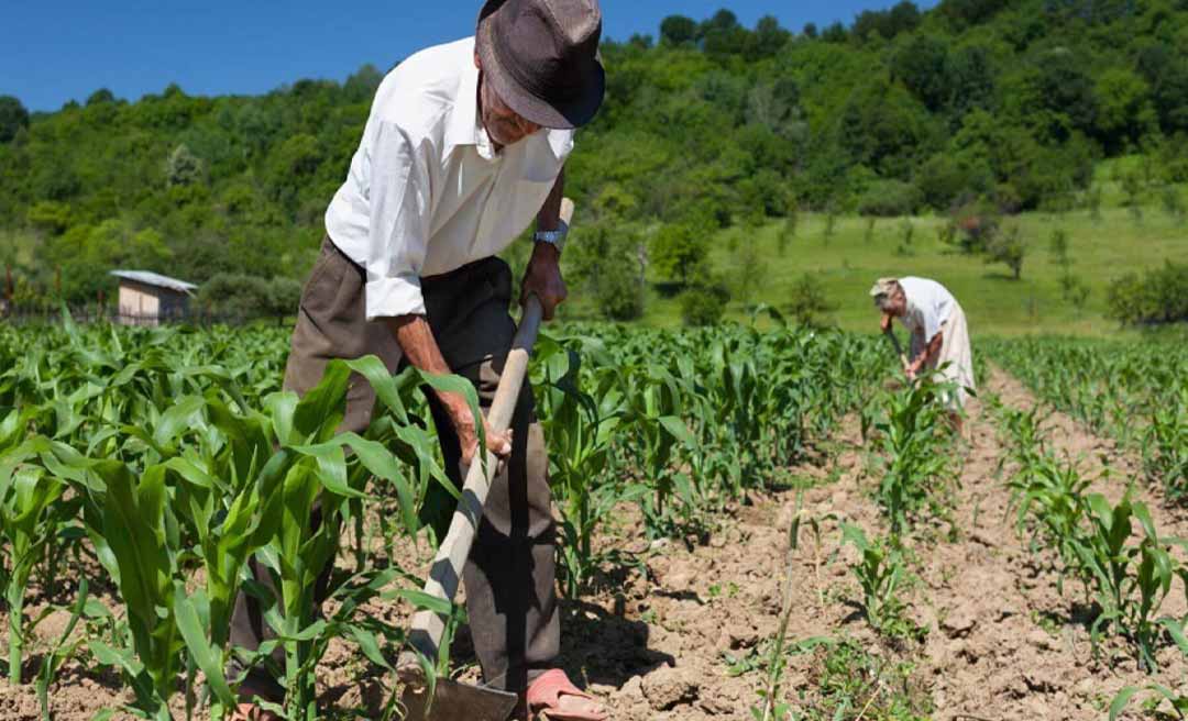 Acre fecha agosto com desemprego no campo, mostra Confederação Nacional de Municípios