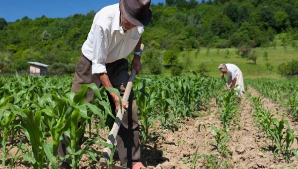 Acre fecha agosto com desemprego no campo, mostra Confederação Nacional de Municípios