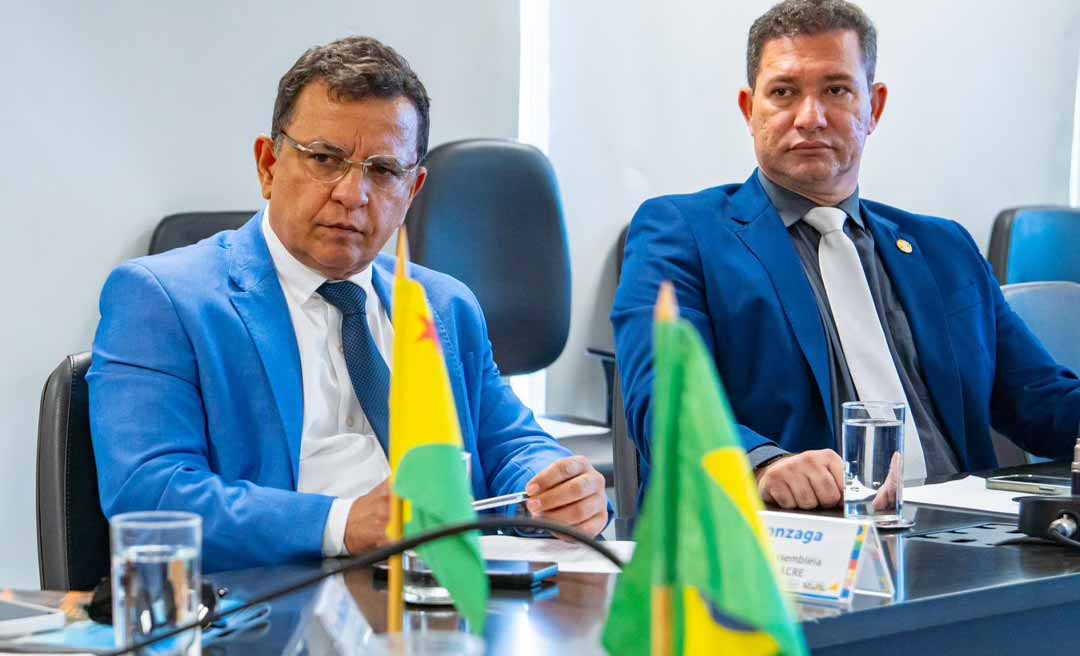 Em Brasília, Gonzaga, secretários do governo e conselheiro do TCE tratam de recursos para pavimentação de rodovias e revitalização do Igarapé São Francisco