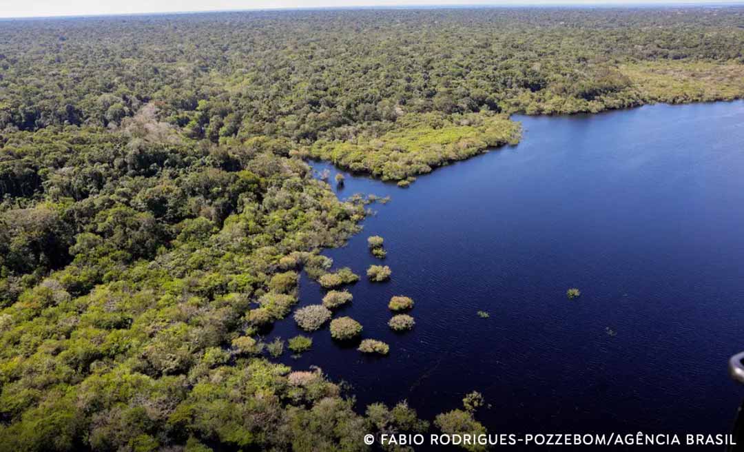 Cinco países aderem a fundo para conservação de florestas tropicais, informa Marina Silva