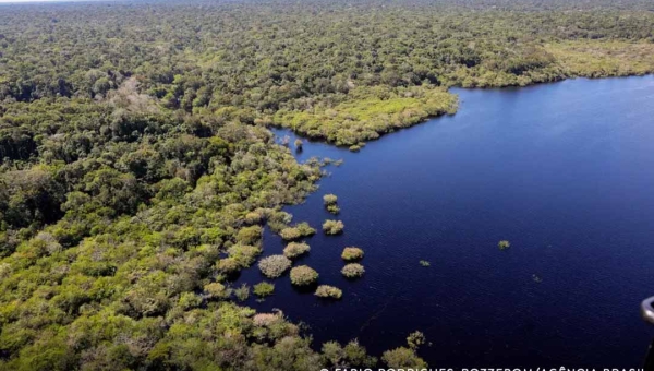 Cinco países aderem a fundo para conservação de florestas tropicais, informa Marina Silva