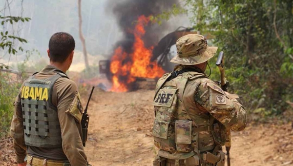 PRF bate recordes no combate aos crimes ambientais no Acre e nos demais estados da Amazônia Legal