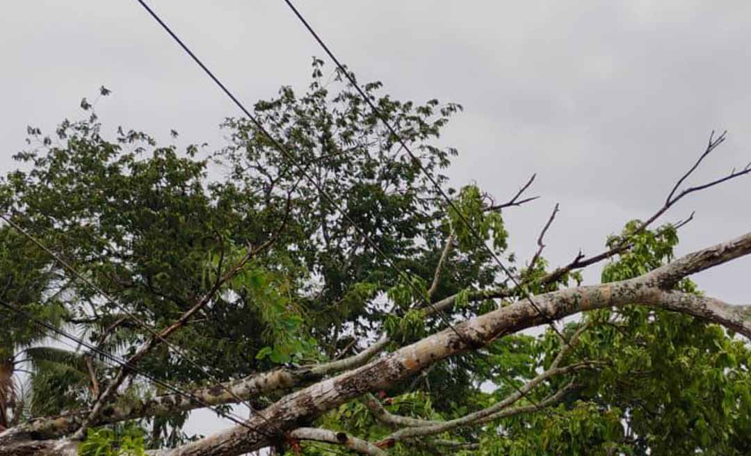 Com aumento das chuvas, é necessário redobrar cuidados para evitar acidentes com a rede elétrica