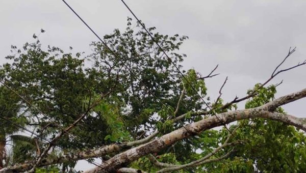 Com aumento das chuvas, é necessário redobrar cuidados para evitar acidentes com a rede elétrica