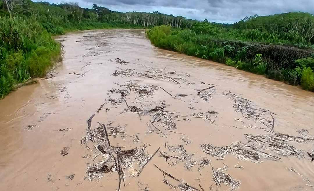 Nível do rio Acre sobe mais de seis metros em 24 horas em Assis Brasil e gera preocupação, diz Defesa Civil em Rio Branco