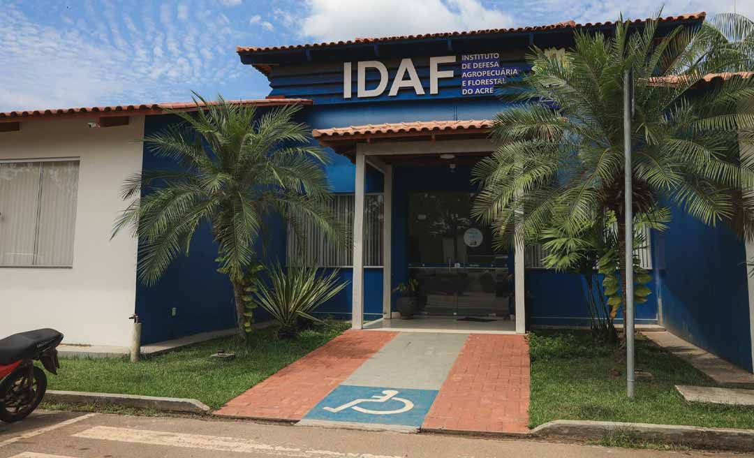 Delação premiada pode revelar novos detalhes sobre o envolvimento de servidores do Idaf no esquema criminoso investigado na Operação Fake Bois