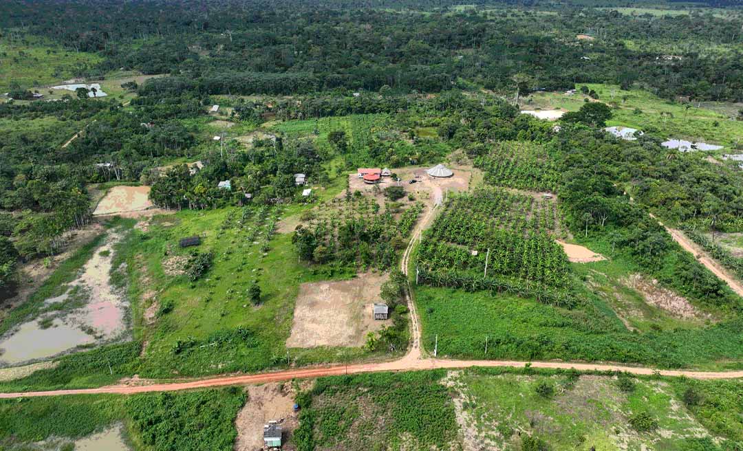 SOS Amazônia e Instituto Alok promovem mutirão de plantio de árvores no Centro Huwã Karu Yuxibu