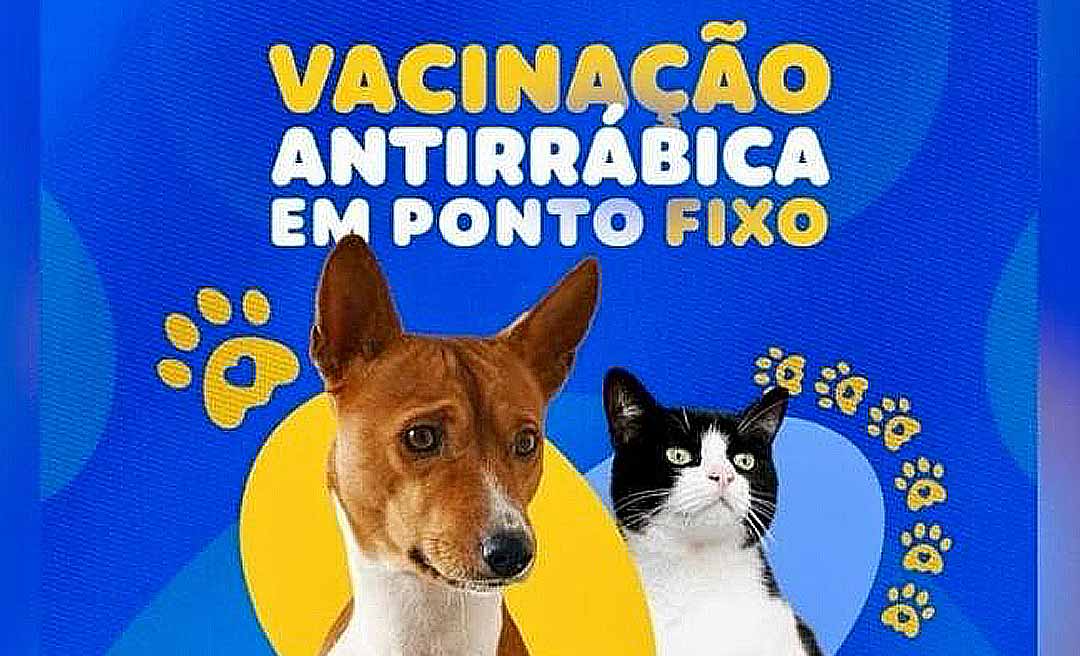 Prefeitura da Capital oferece vacinação antirrábica para cães e gatos na Urap São Francisco