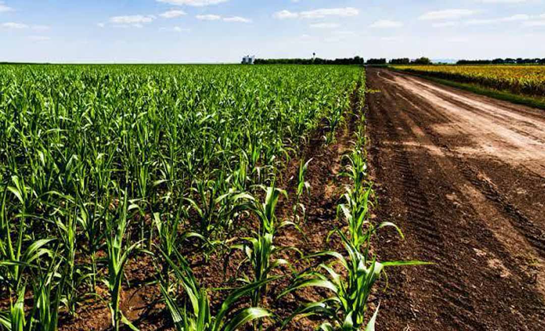 Impulsionada por políticas públicas, produção agrícola do Acre cresce 101% entre 2019 e 2025