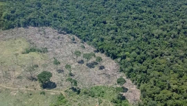 Estudo mostra que o Acre tem quase 52 mil hectares de capoeira sob alta pressão da agricultura