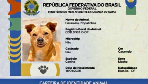 Governo Federal lança SinPatinhas, o RG digital para cães e gatos em todo o Brasil