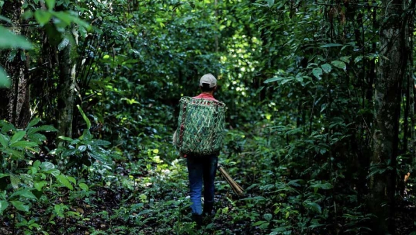 Após polêmica envolvendo projetos de carbono no Acre, órgãos recomendam que comunidades tradicionais sejam ouvidas antes