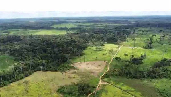 Destruição de casas, ameaças de expulsão, uso de agrotóxico como arma química e pistolagem formam o cenário do campo no Acre