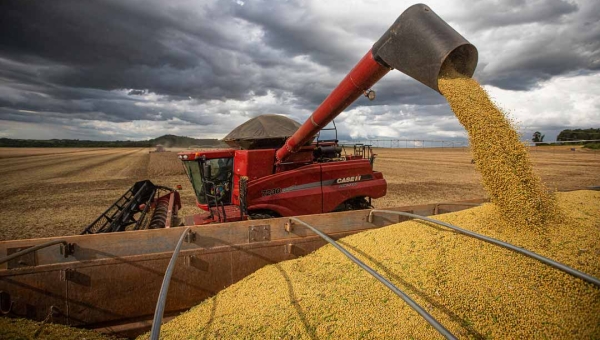 Investimentos no agronegócio do Acre ultrapassam os R$ 167,2 milhões