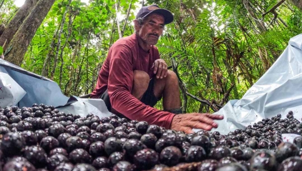 Seminário Internacional Txai Amazônia vai reunir lideranças no Acre para discutir bioeconomia