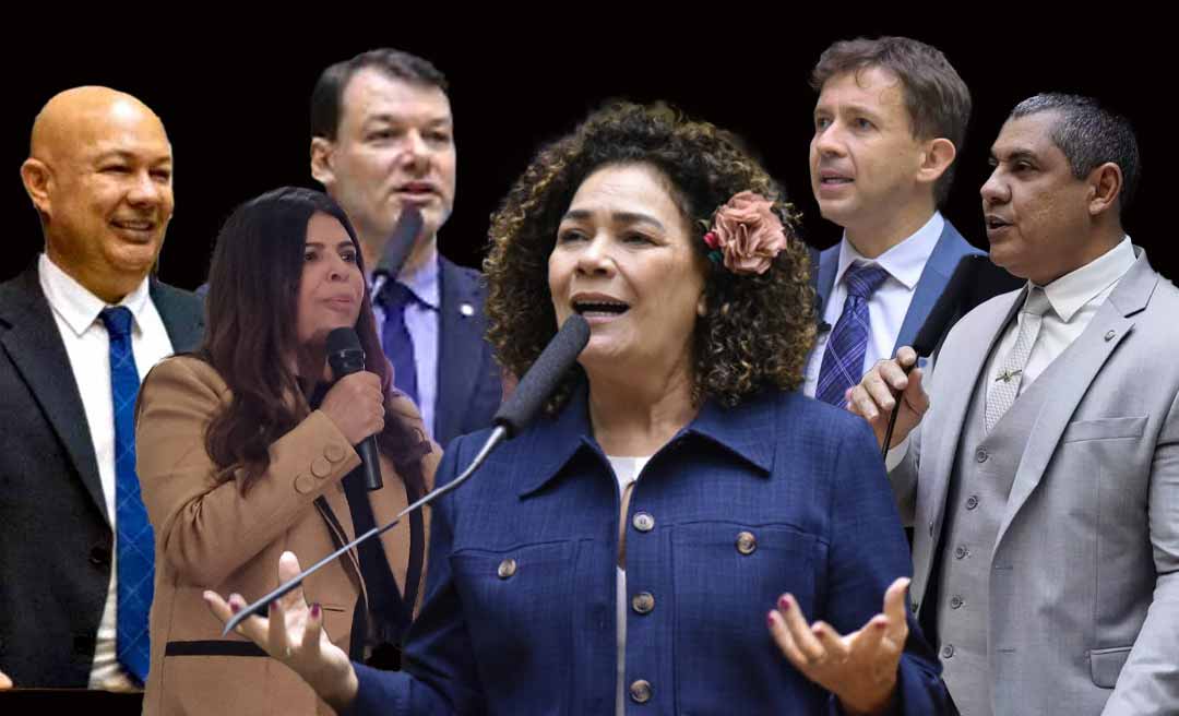 Perpétua critica maioria da bancada do Acre que votou pelo afrouxamento das regras do licenciamento ambiental