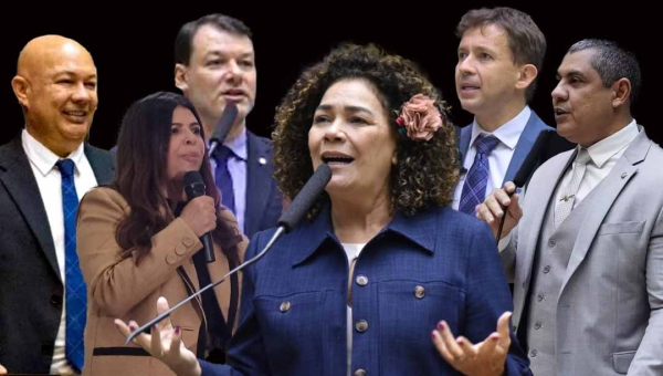 Perpétua critica maioria da bancada do Acre que votou pelo afrouxamento das regras do licenciamento ambiental