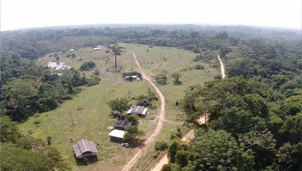 IBGE mostra que taxa de alfabetização dentro de unidades de conservação do Acre é menor que a nacional