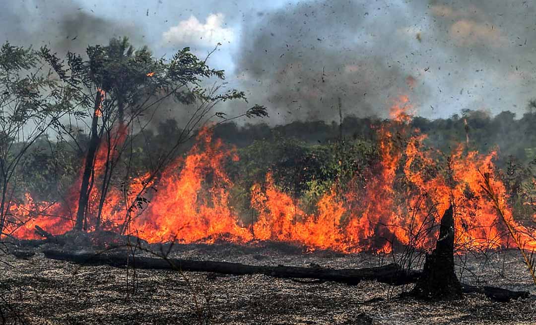 Governo do Acre firma cooperação técnica com Bombeiros e FGV para reduzir queimadas