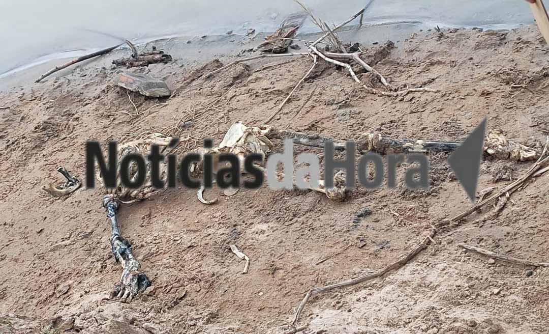 Pescadores encontram ossada humana no Rio Acre próximo a quarta ponte, em Rio Branco