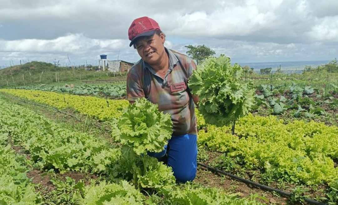 Bolsa Verde já pagou quase R$ 2 milhões a extrativistas nos últimos 3 meses no Acre