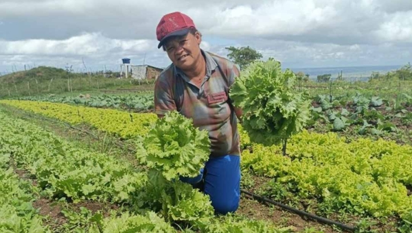 Bolsa Verde já pagou quase R$ 2 milhões a extrativistas nos últimos 3 meses no Acre