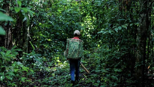 Governo publica decreto que cria grupo de trabalho para acompanhar a regularização dos passivos ambientais de reserva legal