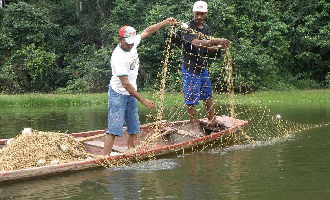 Governo Federal suspende licenças de 407 pescadores no Acre em operação contra fraudes; superintendente esclarece