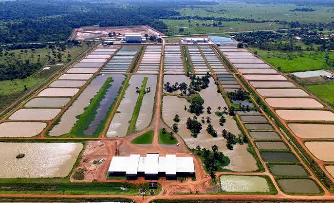 Duas empresas disputam leilão do complexo industrial da Peixes da Amazônia nesta quinta-feira