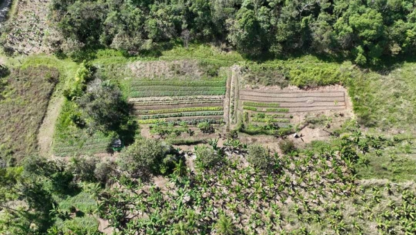 Empréstimo do governo Gladson junto ao BNDES visa implantar 2 mil hectares de agroflorestas no Acre, beneficiando 2 mil famílias