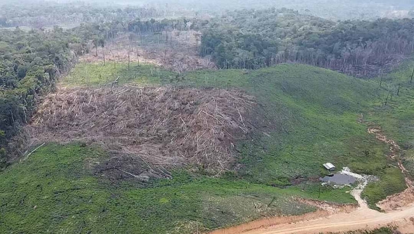 Cidades do Acre com elevados índices de desmatamento e focos de queimadas estão na mira do governo Lula