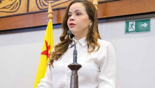 Dra. Michelle Melo considera como “imoral e ilegal” o PL que cria novos cargos comissionados
