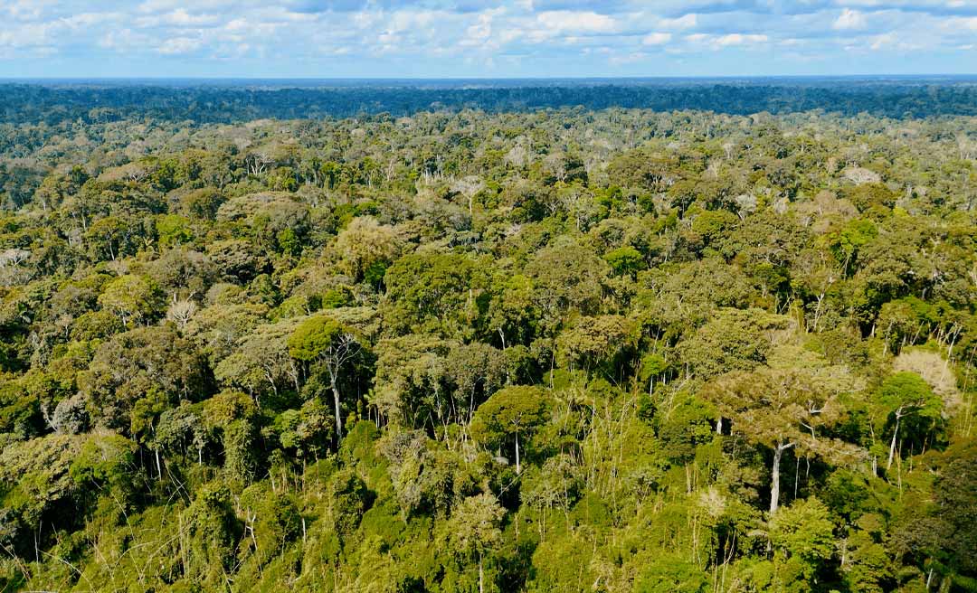 Acre registra redução de 27,62% no desmatamento e cumpre metas anuais do Plano de Prevenção e Controle do Desmatamento e Queimadas