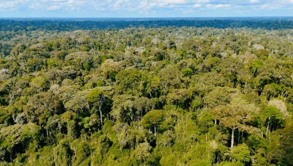 Acre registra redução de 27,62% no desmatamento e cumpre metas anuais do Plano de Prevenção e Controle do Desmatamento e Queimadas