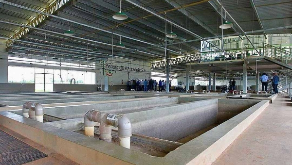 Complexo Industrial Peixes da Amazônia volta a leilão com lance mínimo de R$ 9,5 milhões